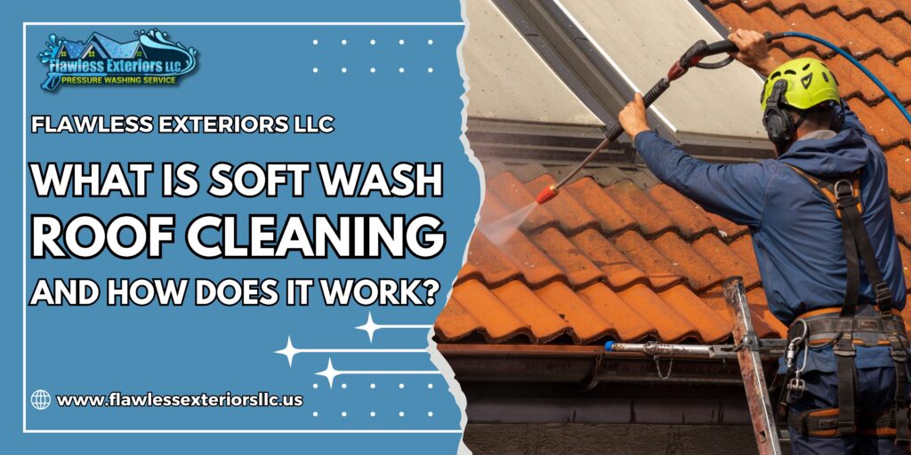 Prodessional Soft Wash Roof Cleaning